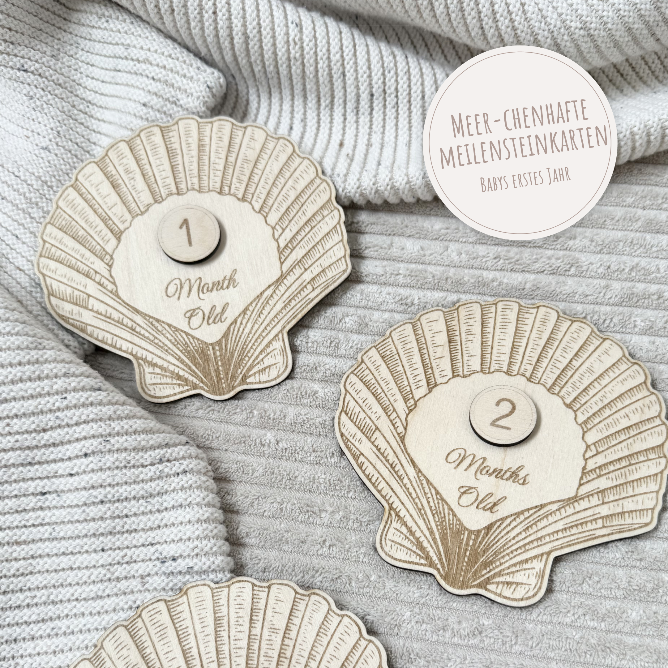 Meilensteinkarten Set "Muscheln"