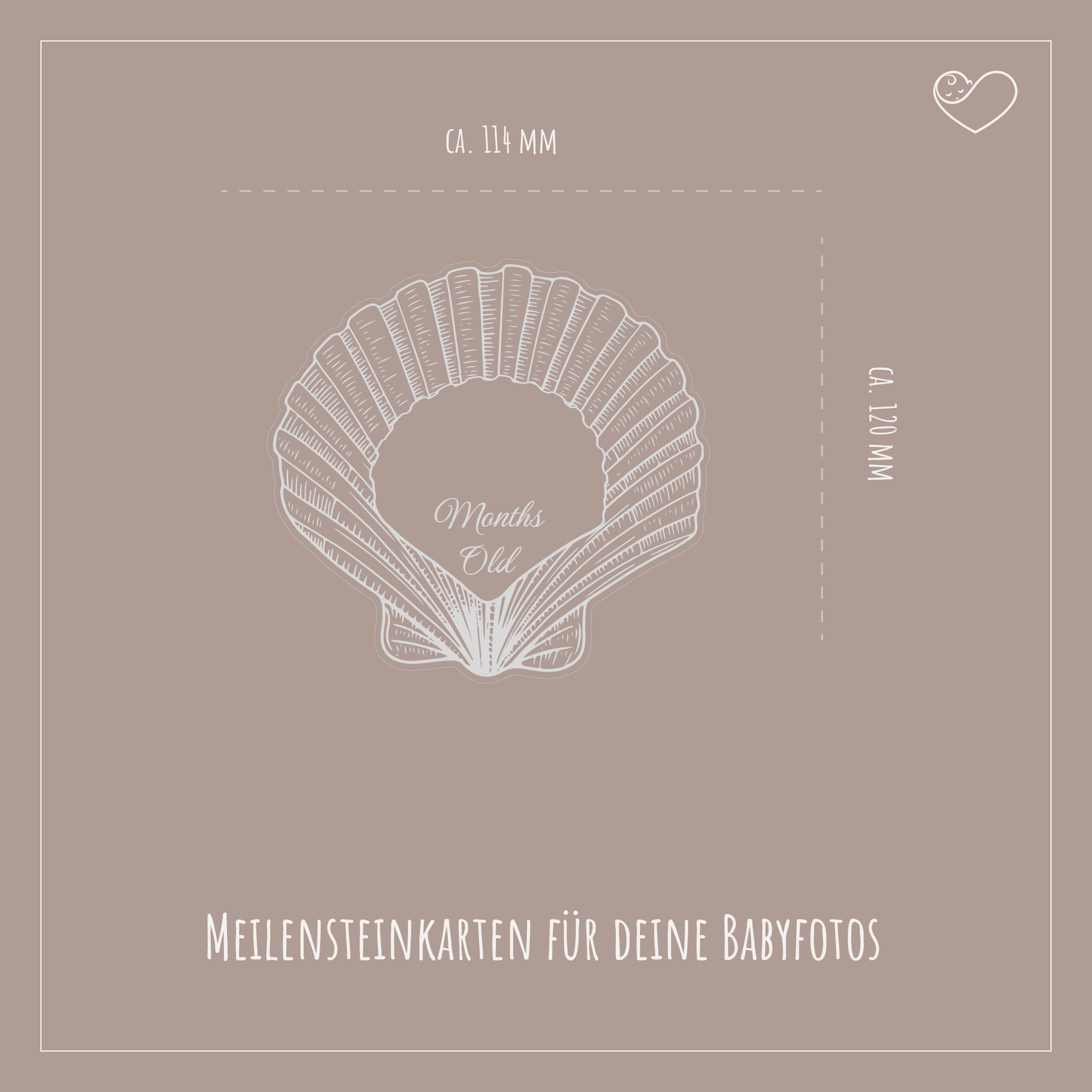 Meilensteinkarten Set "Muscheln"