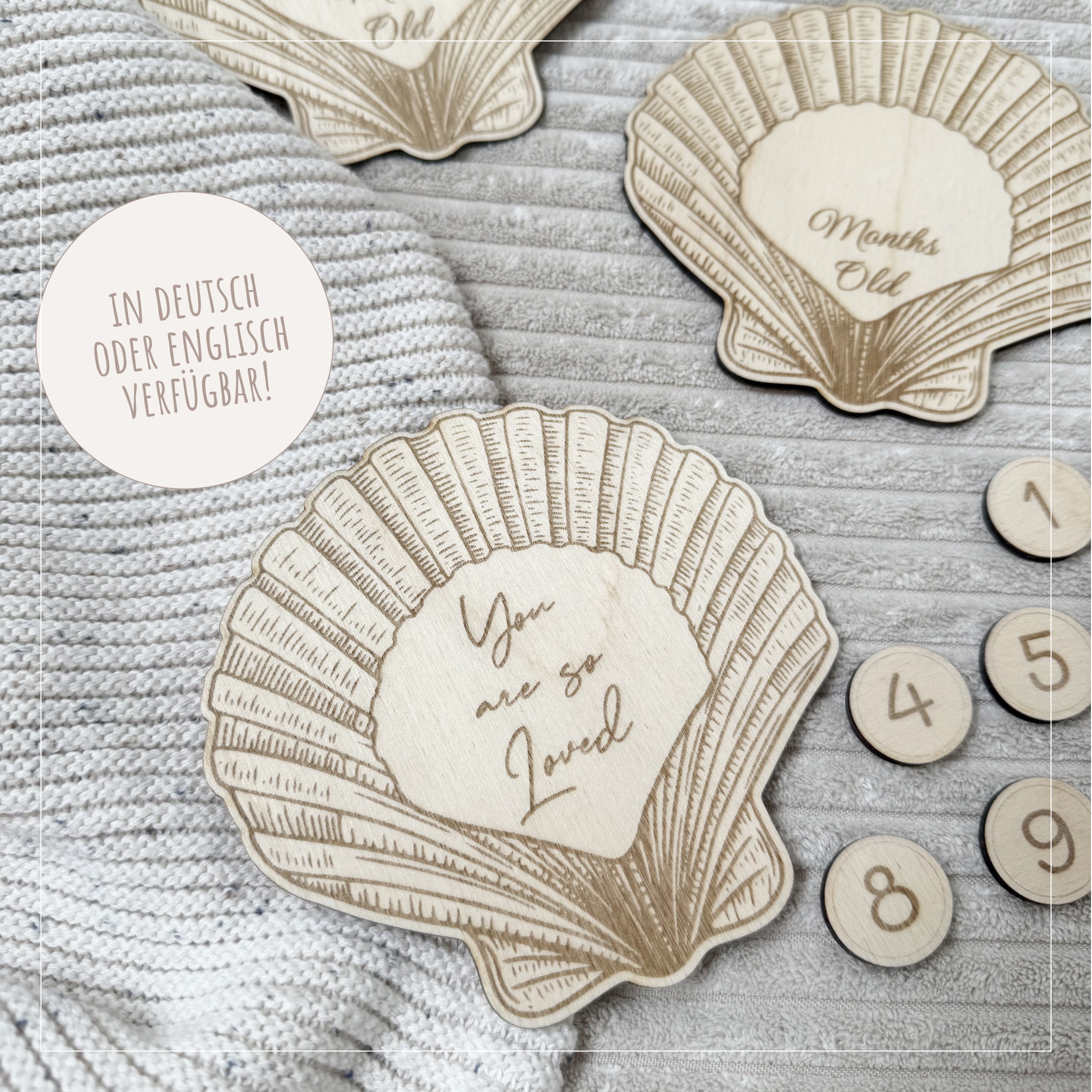 Meilensteinkarten Set "Muscheln"