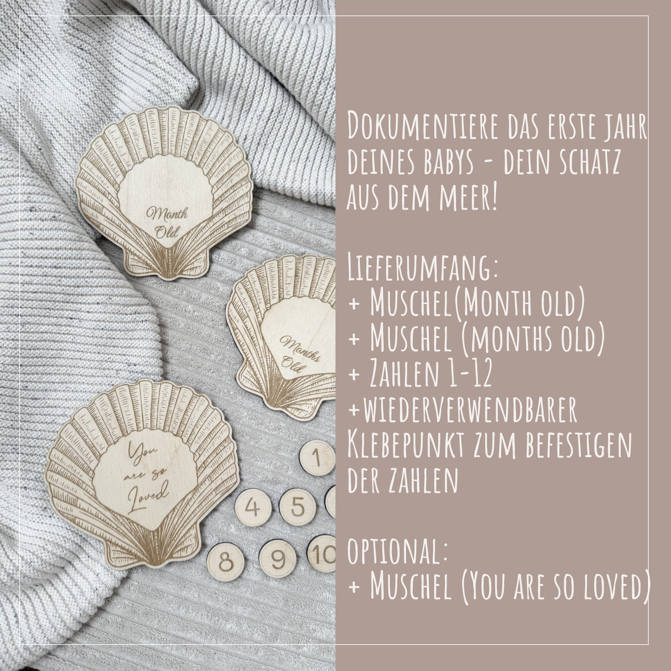 Meilensteinkarten Set "Muscheln"