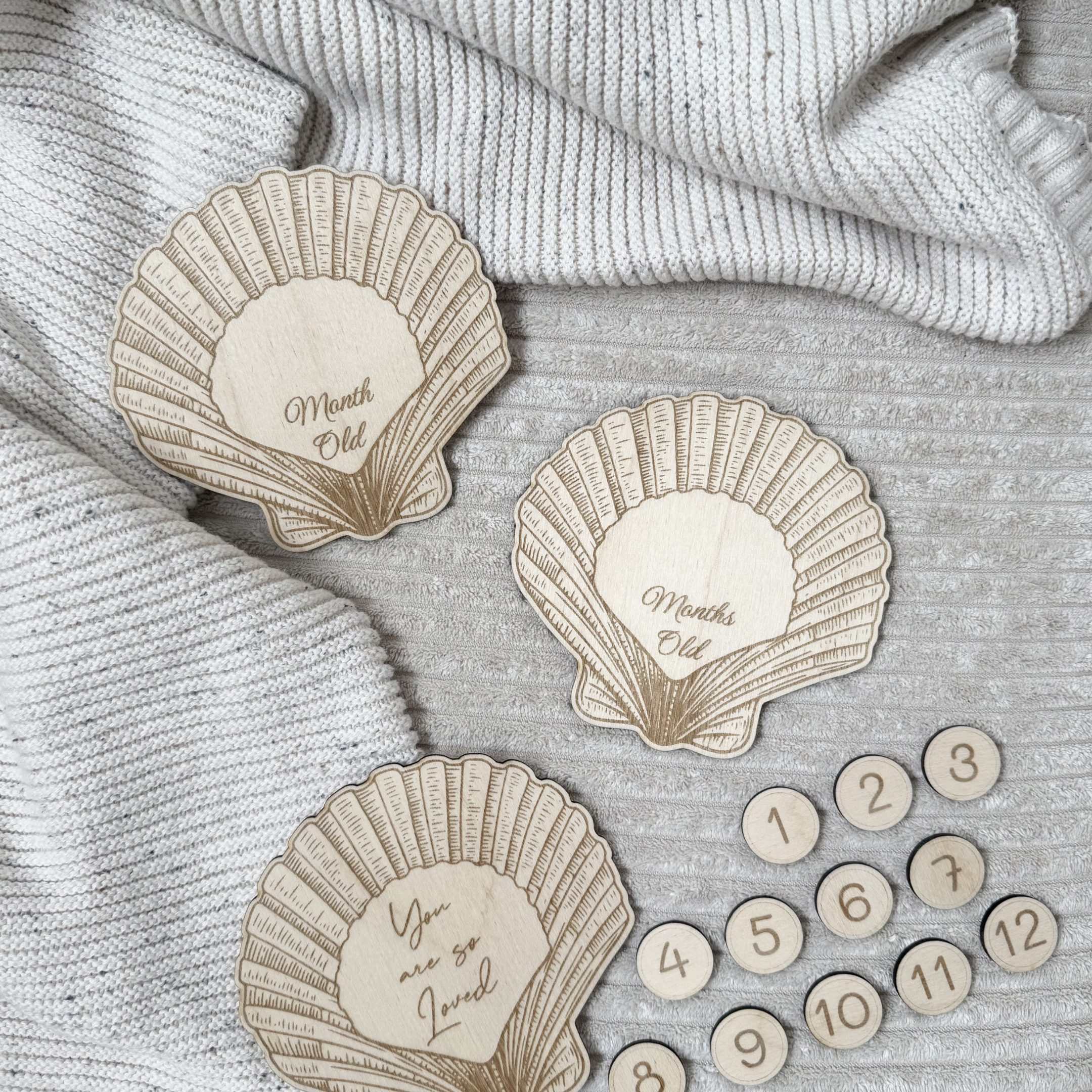 Meilensteinkarten Set "Muscheln"