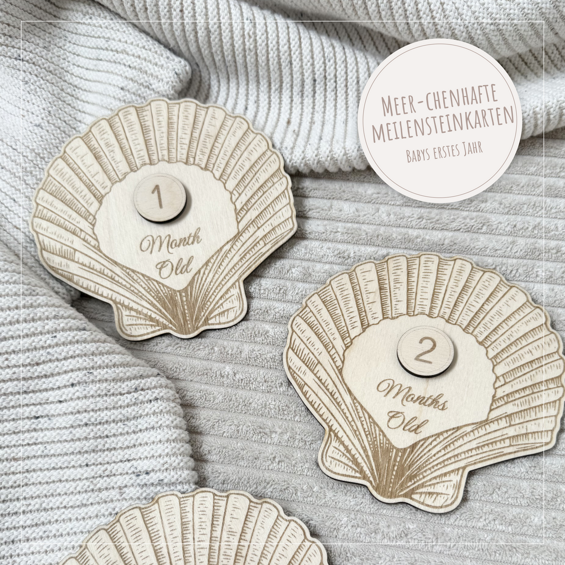 Meilensteinkarten Set &quot;Muscheln&quot;