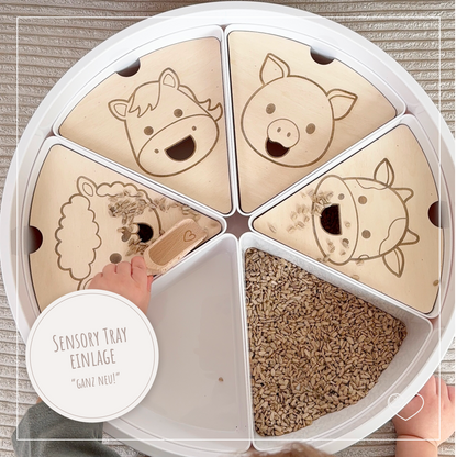 Aktivitätsplatten Sensory Tray