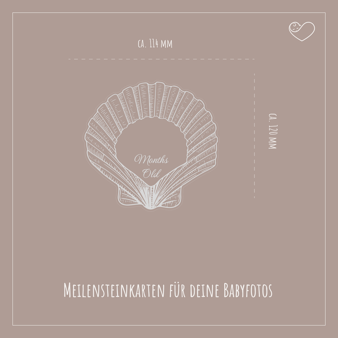 Meilensteinkarten Set &quot;Muscheln&quot;
