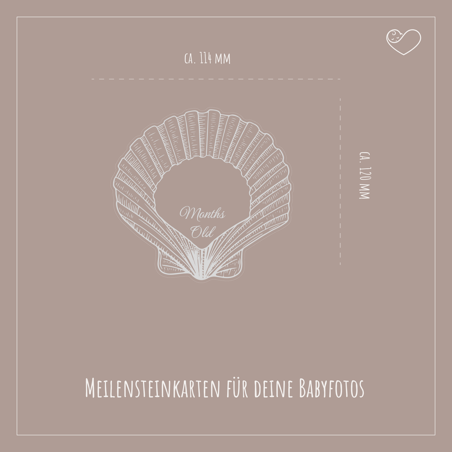 Meilensteinkarten Set &quot;Muscheln&quot;
