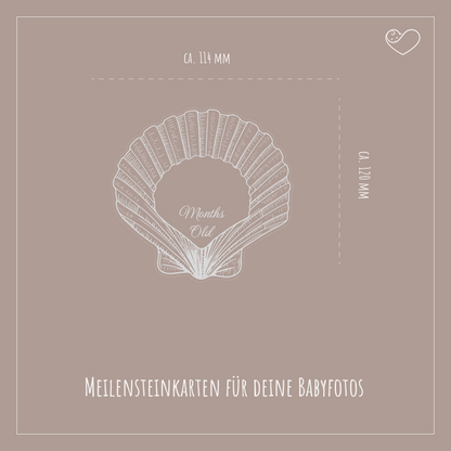 Meilensteinkarten Set &quot;Muscheln&quot;