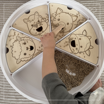 Aktivitätsplatten Sensory Tray